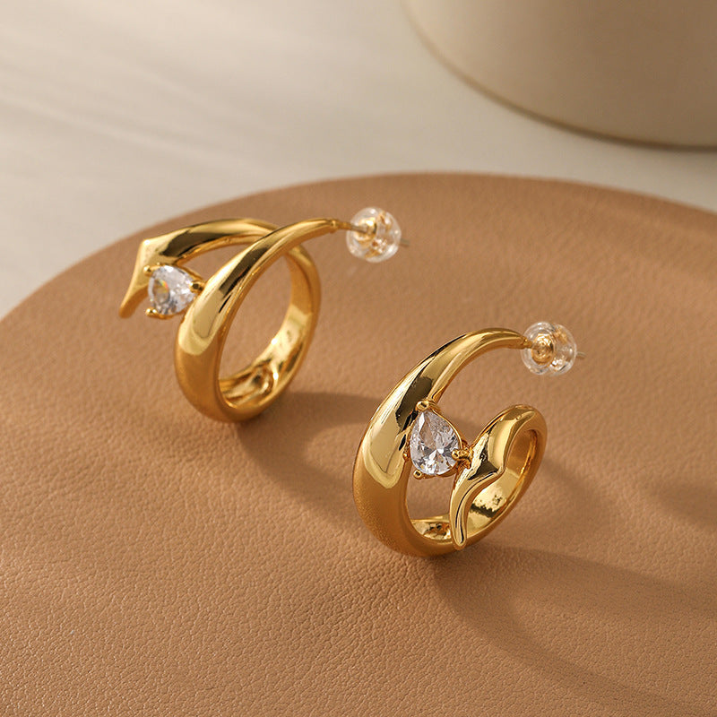 Exquisite Earrings with Zircon Circle